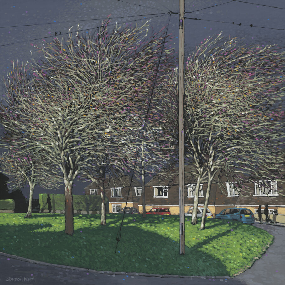 winter sunlight on the trees and houses