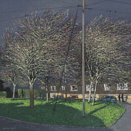 winter sunlight on the trees and houses