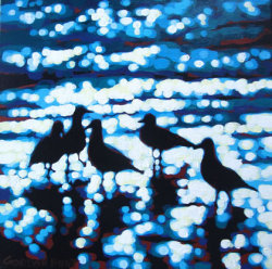 A squabble of seagulls