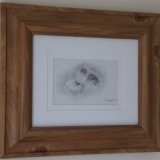 Compassion pen drawing **SOLD**