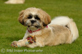 Kizzy