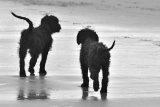 Blake and Stanley
