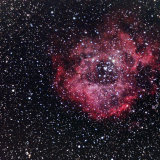 Rosette Nebula