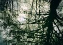Abstract Reflections
