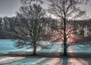 Arundel Frost 04