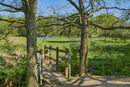 Bluebell Bridge
