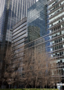 Cityscape-16