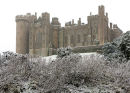 Cold Castle