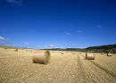 Cotton Reels