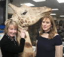 Duchess of Norfolk with Friends of Sussex Hospices