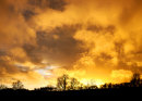 Fiery Sunset
