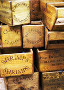 Fishy Boxes