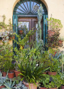 Floral Welcome