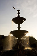 Fountain