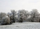 Freezing!