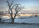 Frosty Misty Castle