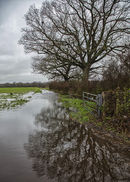 Sussex Winter Flood
