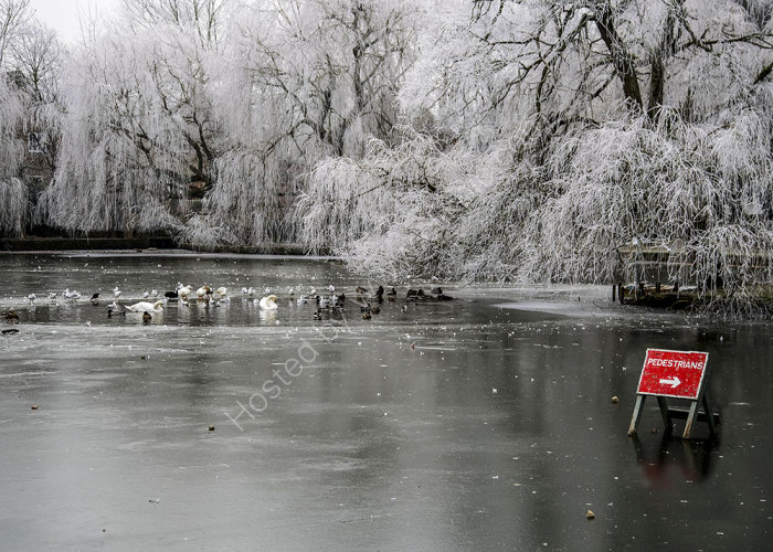 Good Advice on Thin Ice!