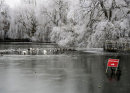 Good Advice on Thin Ice!
