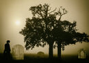 Widow in the Mist