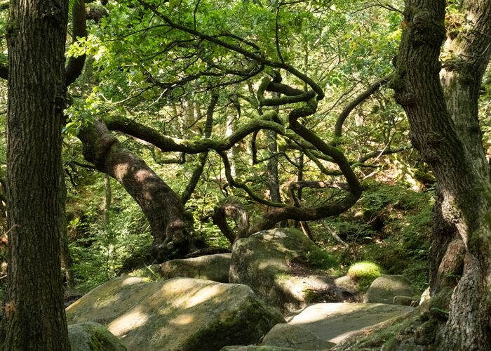 Padley Gorge 2