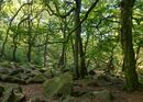 Padley Gorge 4