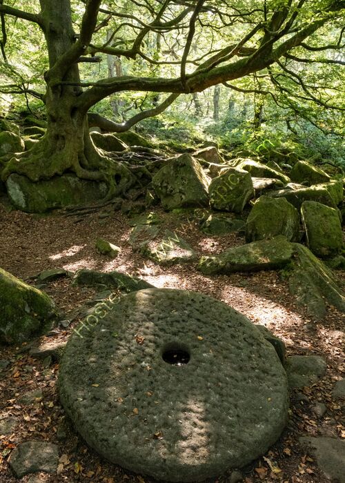 Millstone