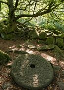 Millstone