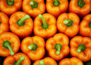 A Crowd of Peppers
