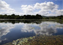 Reflective Moment