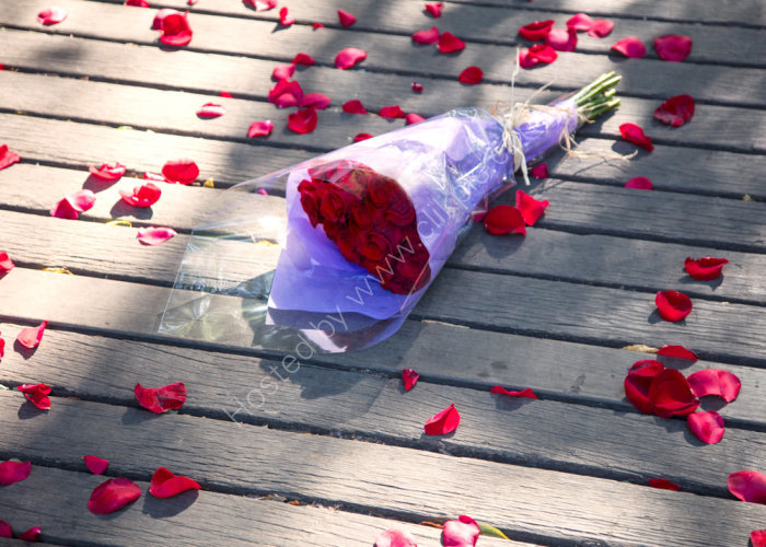 Roses Are Red