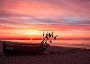 Shamrock Sunrise