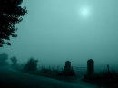 Slightly Scary Start to the Day