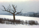 Snow on Bury Hill