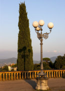Lamplight Shadow