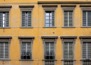 City Windows.
