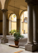 Florence Still Life (2).