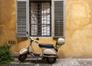 Florence Still Life (3)
