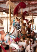 Florentine Carousel (6)