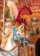 Florentine Carousel (7)