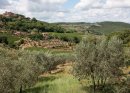 A Tuscan View (3)