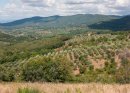 A Tuscan View (4).