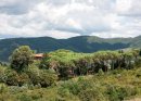 A Tuscan View (6).