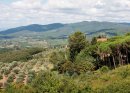 A Tuscan View (7)