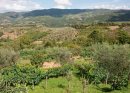 A Tuscan View (9)