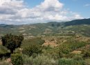 A Tuscan View (10)