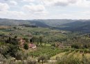A Tuscan View (11).