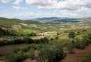 A Tuscan View (12)
