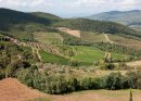 A Tuscan View (14)