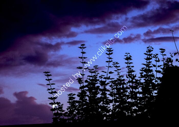 Unsettled July